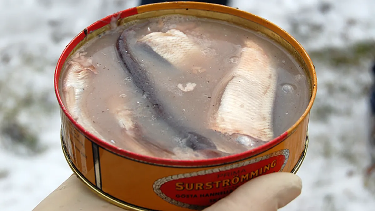 Surströmming Canned Fish: Sweden Funky Fermented Fiesta